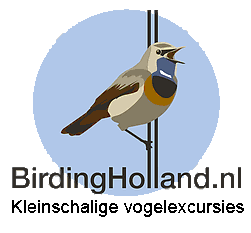 Birdingholland